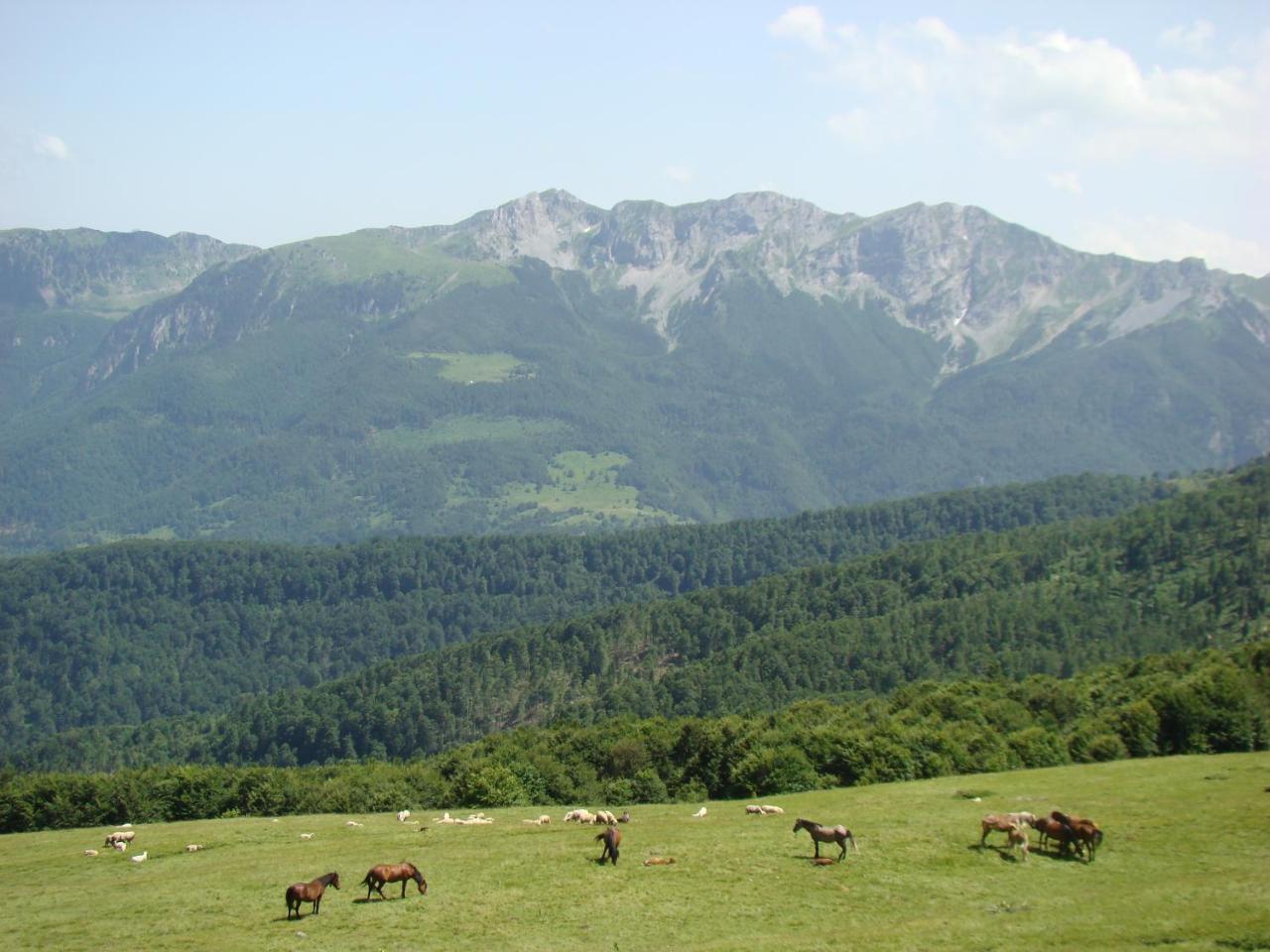Komovi Eko Katun Villa Andrijevica Exterior foto