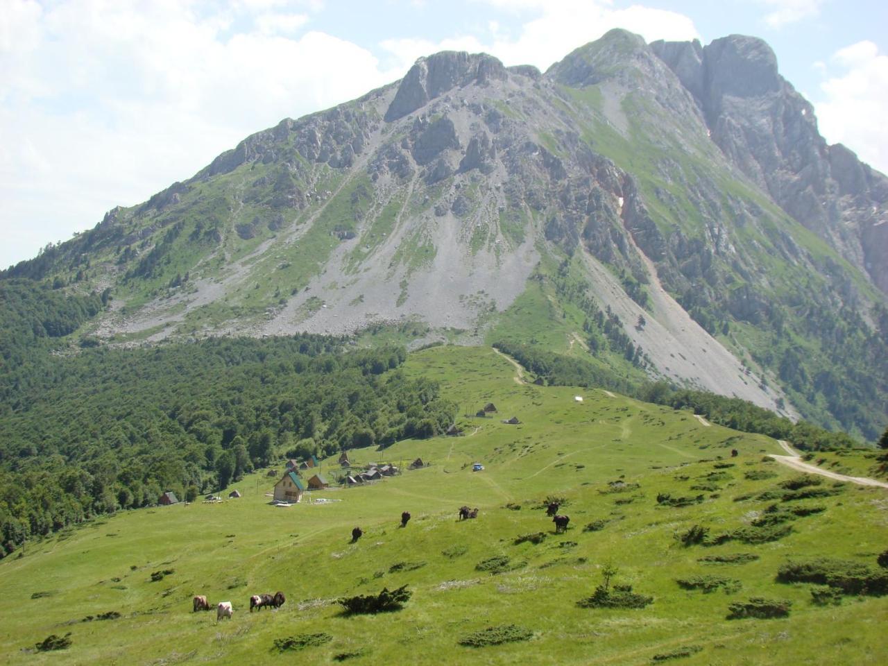Komovi Eko Katun Villa Andrijevica Exterior foto