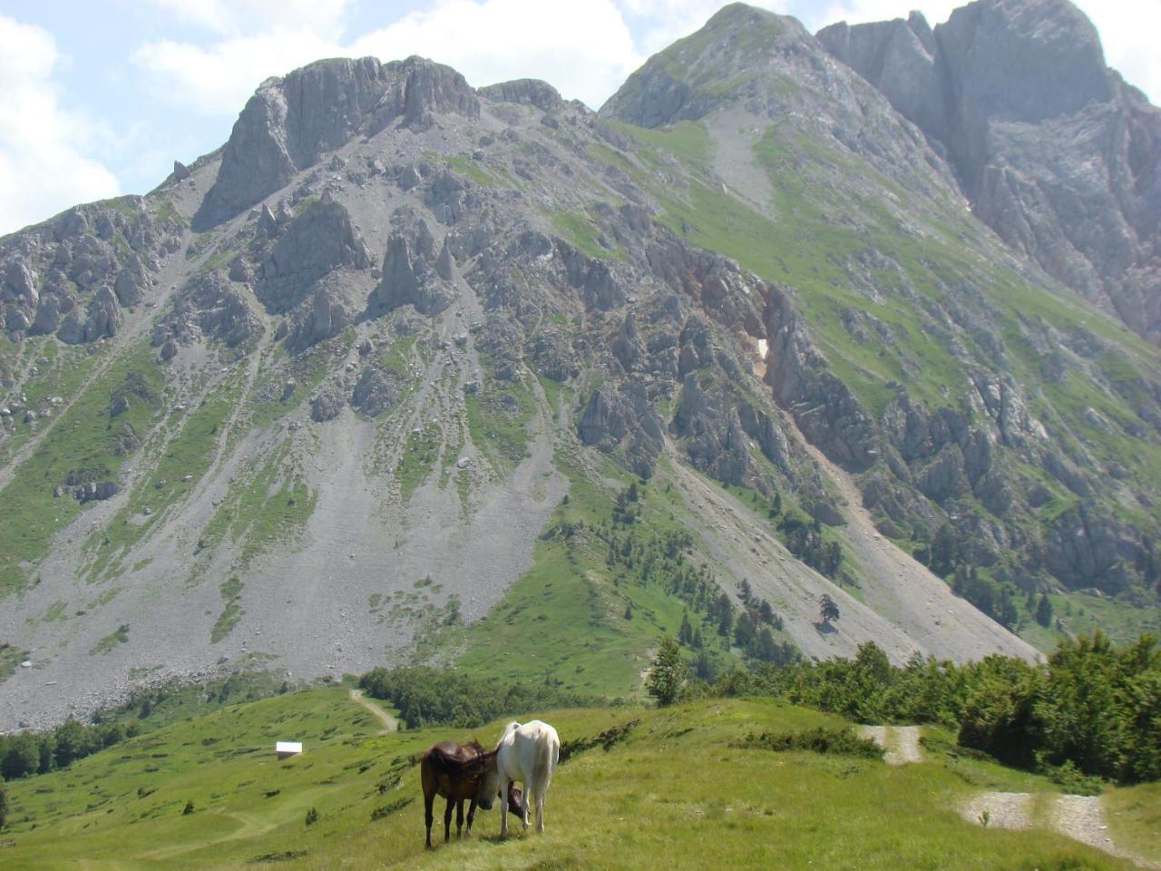 Komovi Eko Katun Villa Andrijevica Exterior foto
